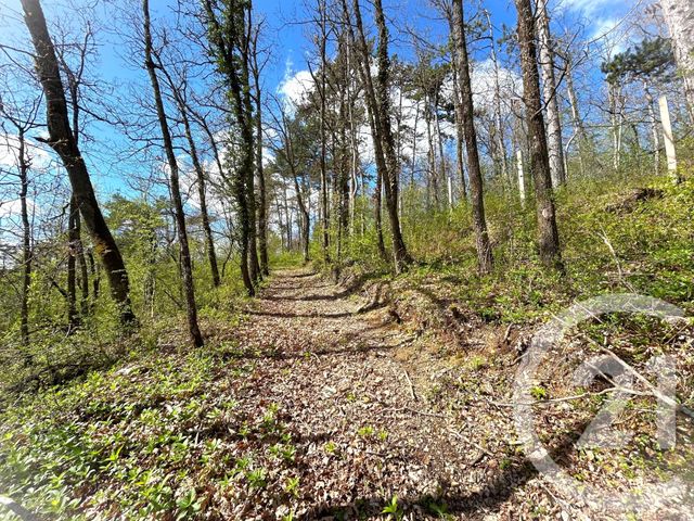 maison à vendre - 8 pièces - 187.2 m2 - ETAMPES - 91 - ILE-DE-FRANCE - Century 21 C.I Conseils