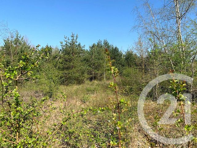 terrain à vendre - 37332.0 m2 - SACLAS - 91 - ILE-DE-FRANCE - Century 21 C.I Conseils