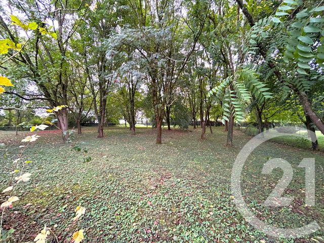 maison à vendre - 6 pièces - 131.15 m2 - PITHIVIERS LE VIEIL - 45 - CENTRE - Century 21 C.I Conseils