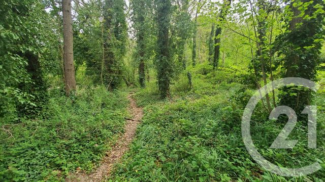 terrain à vendre - 3313.0 m2 - LA FERTE ALAIS - 91 - ILE-DE-FRANCE - Century 21 C.I Conseils